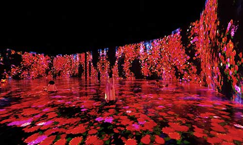 Flowers and People cannot be controlled but live together- trascending boundaries, a whole year per hour. | teamLab.