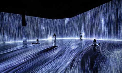 Flowers and People cannot be controlled but live together- trascending boundaries, a whole year per hour. | teamLab.
